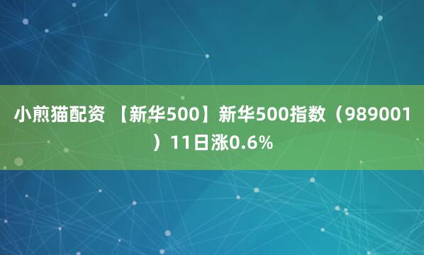 小煎猫配资 【新华500】新华500指数（989001）11日涨0.6%