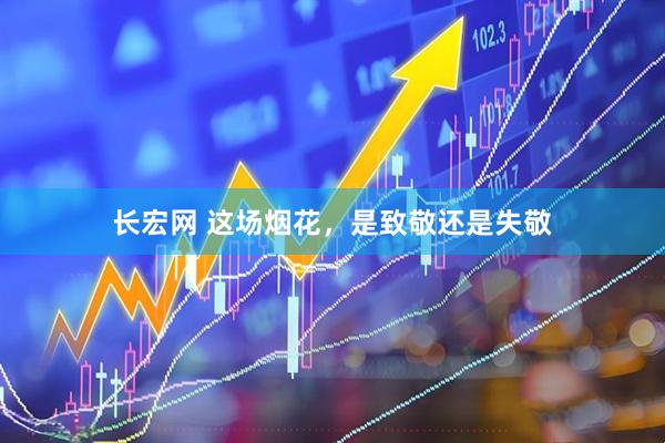 长宏网 这场烟花，是致敬还是失敬