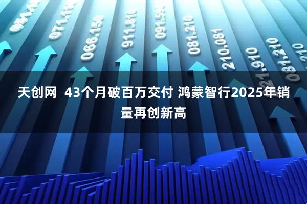天创网  43个月破百万交付 鸿蒙智行2025年销量再创新高